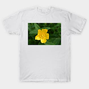 Real Beautiful Flowers outside T-Shirt